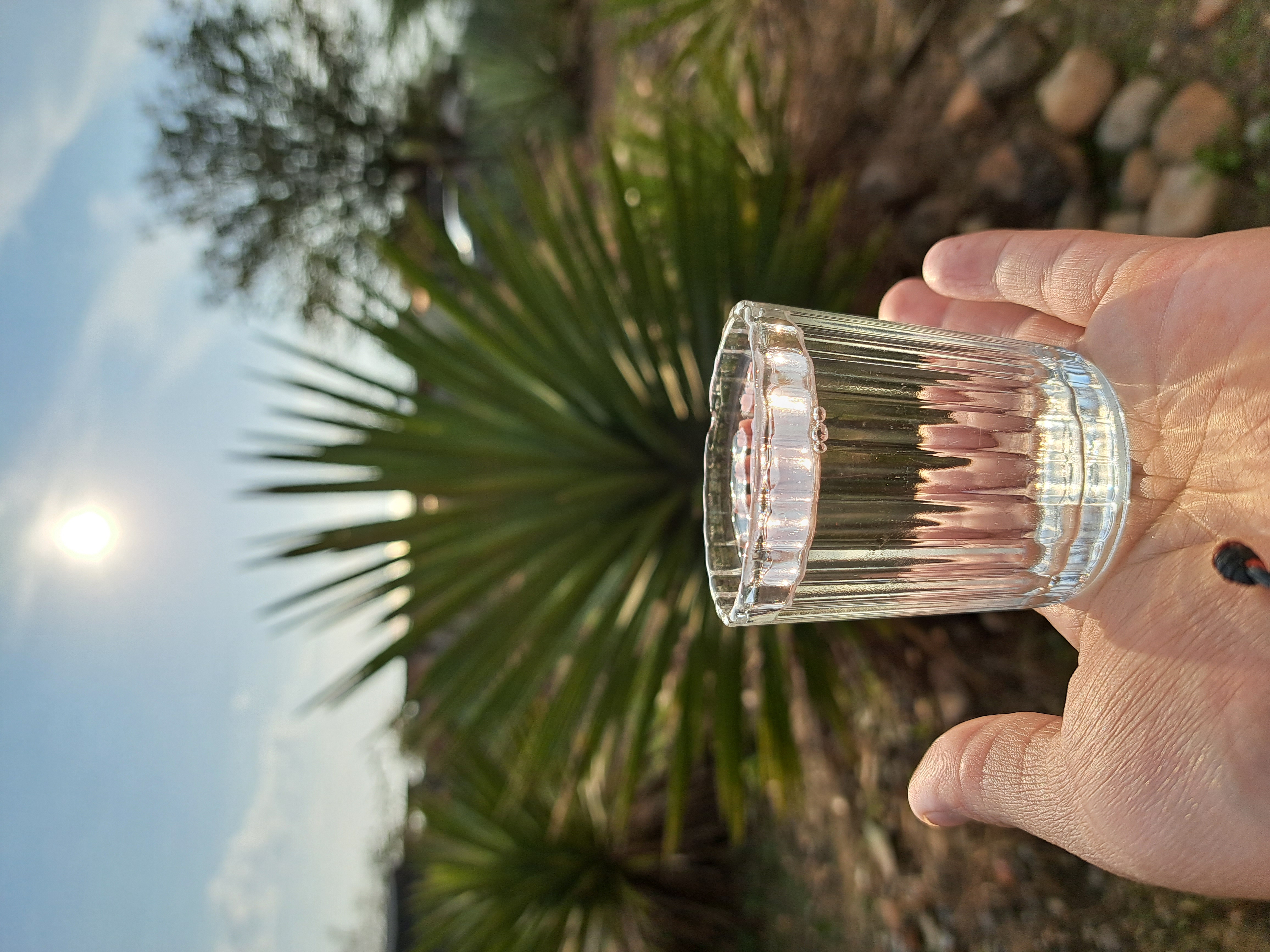 Ilustración del Mezcal