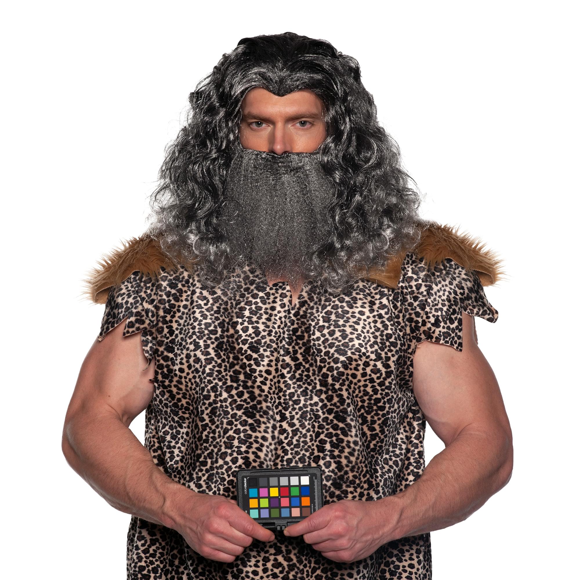 Viking Wig & Beard Adult Costume Set | Grey | eBay