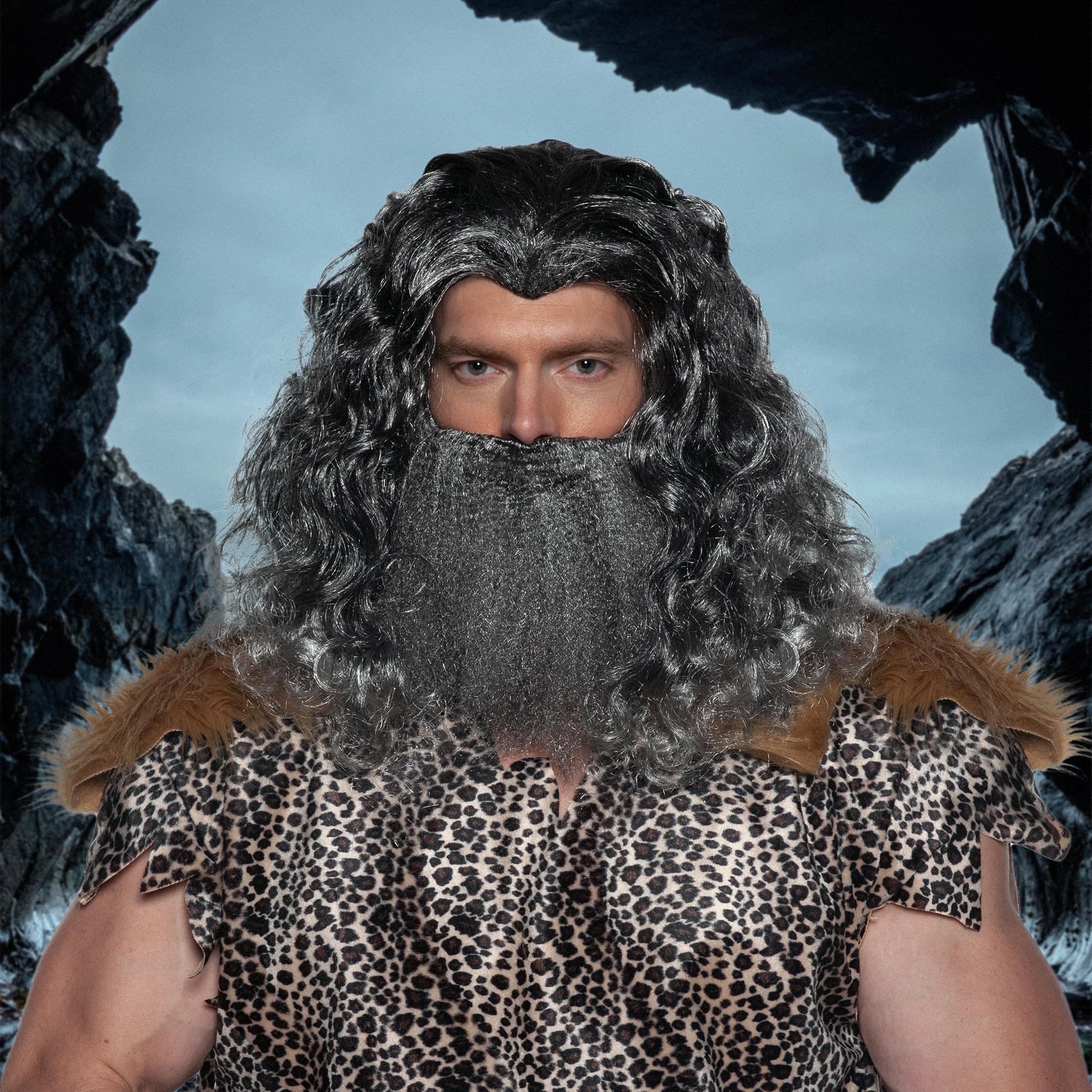 Viking Wig & Beard Adult Costume Set | Grey | eBay