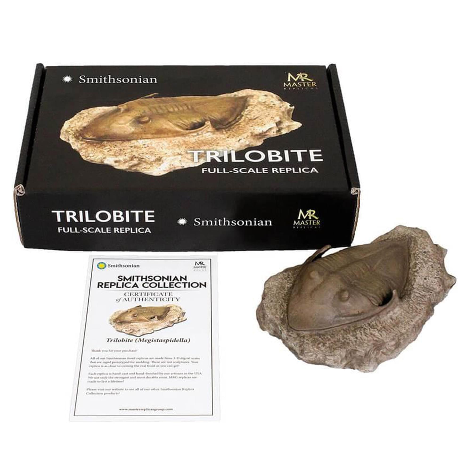 Smithsonian Trilobite in Sandstone Full-Scale Resin Fossil Replica