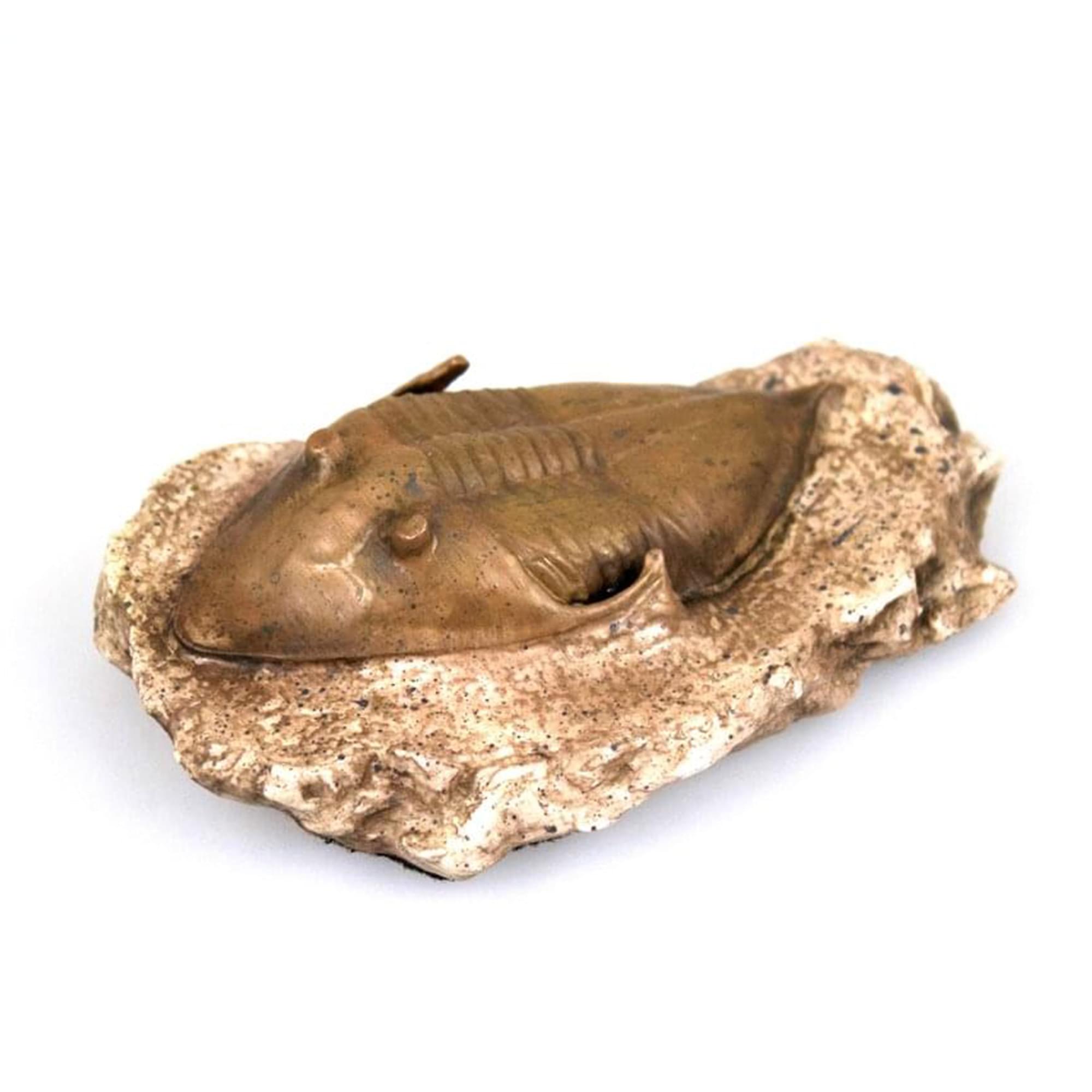 Smithsonian Trilobite in Sandstone Full-Scale Resin Fossil Replica