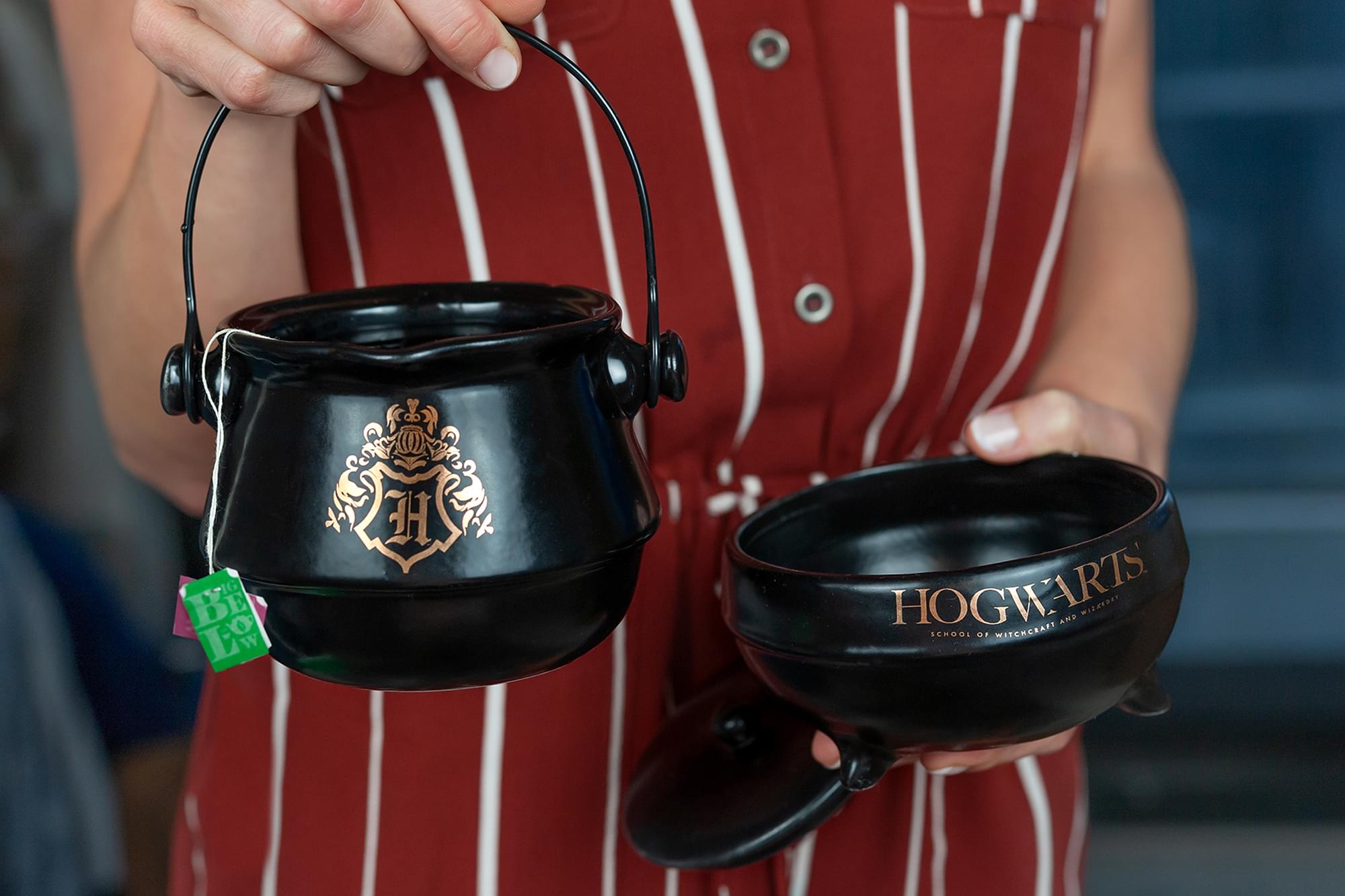 Harry Potter TeaForOne Cauldron Teapot And Cup Set Featuring