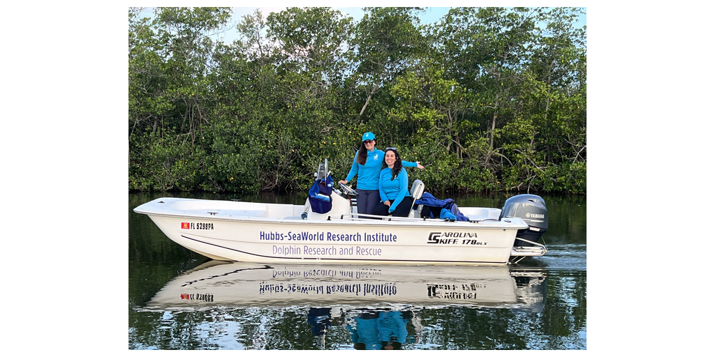 YAMAHA-HUBBS-SEAWORLD YAMAHA-HUBBS-SEAWORLD