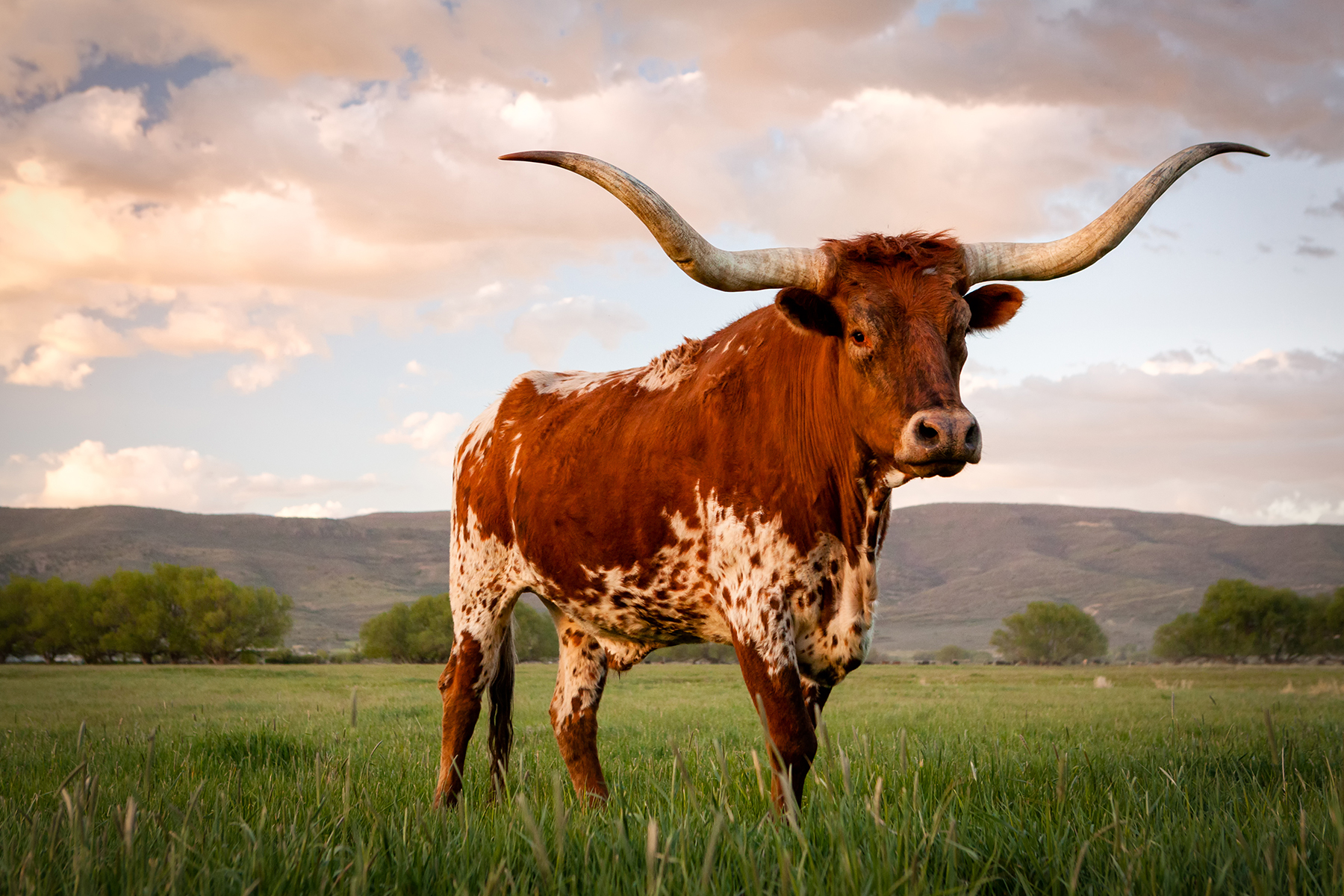 AdobeStock_252132593 AdobeStock_252132593