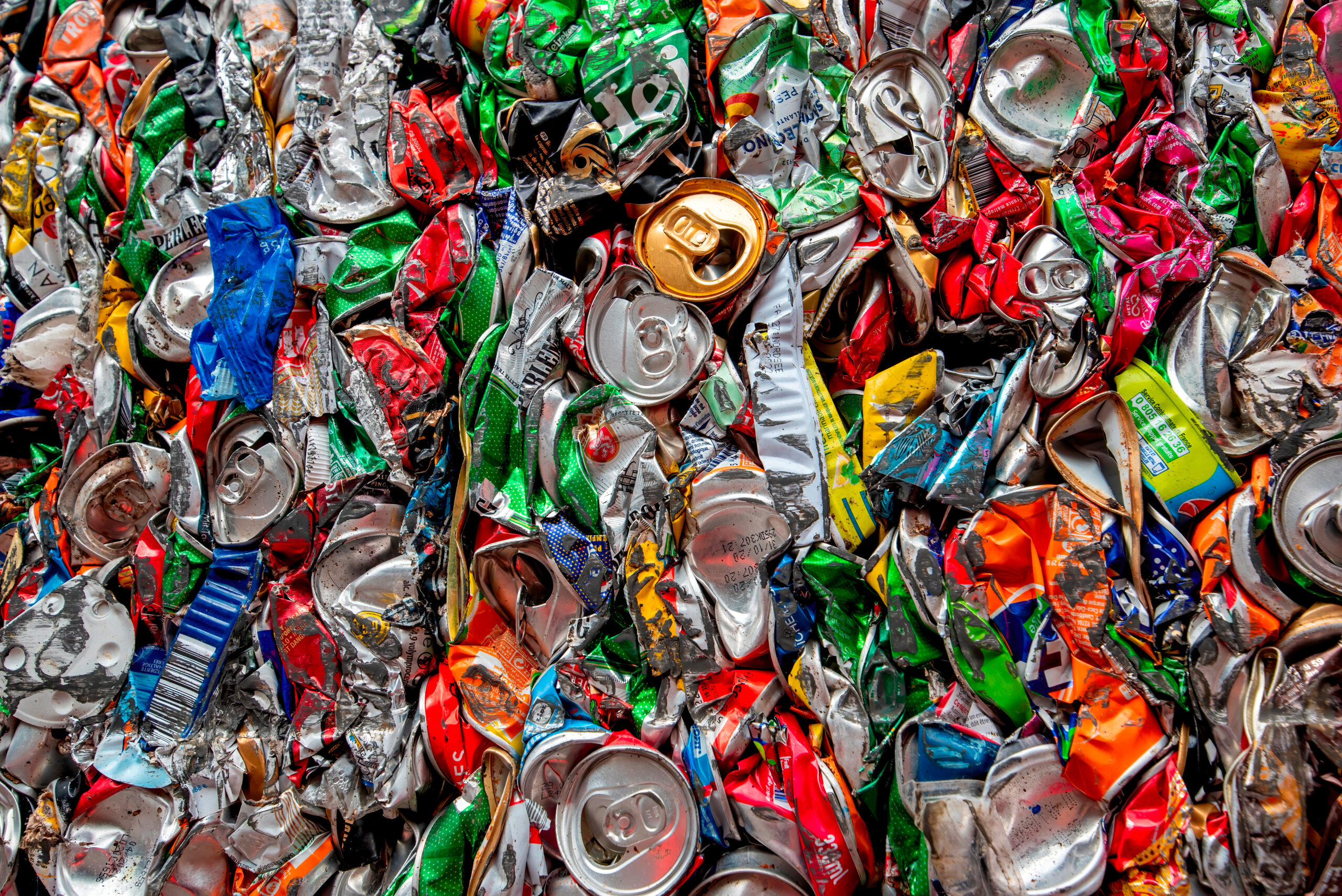 AdobeStock_492085557 AdobeStock_492085557
