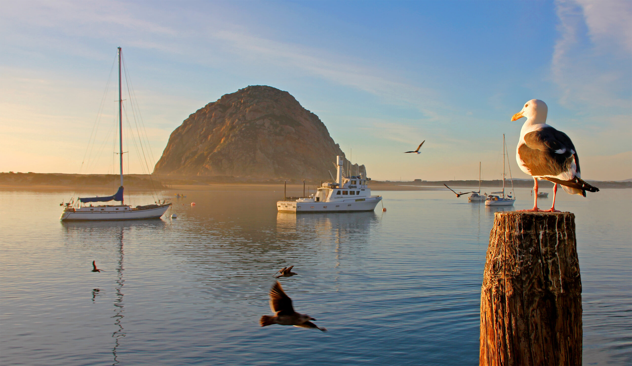 1_CALIFORNIA 1_CALIFORNIA