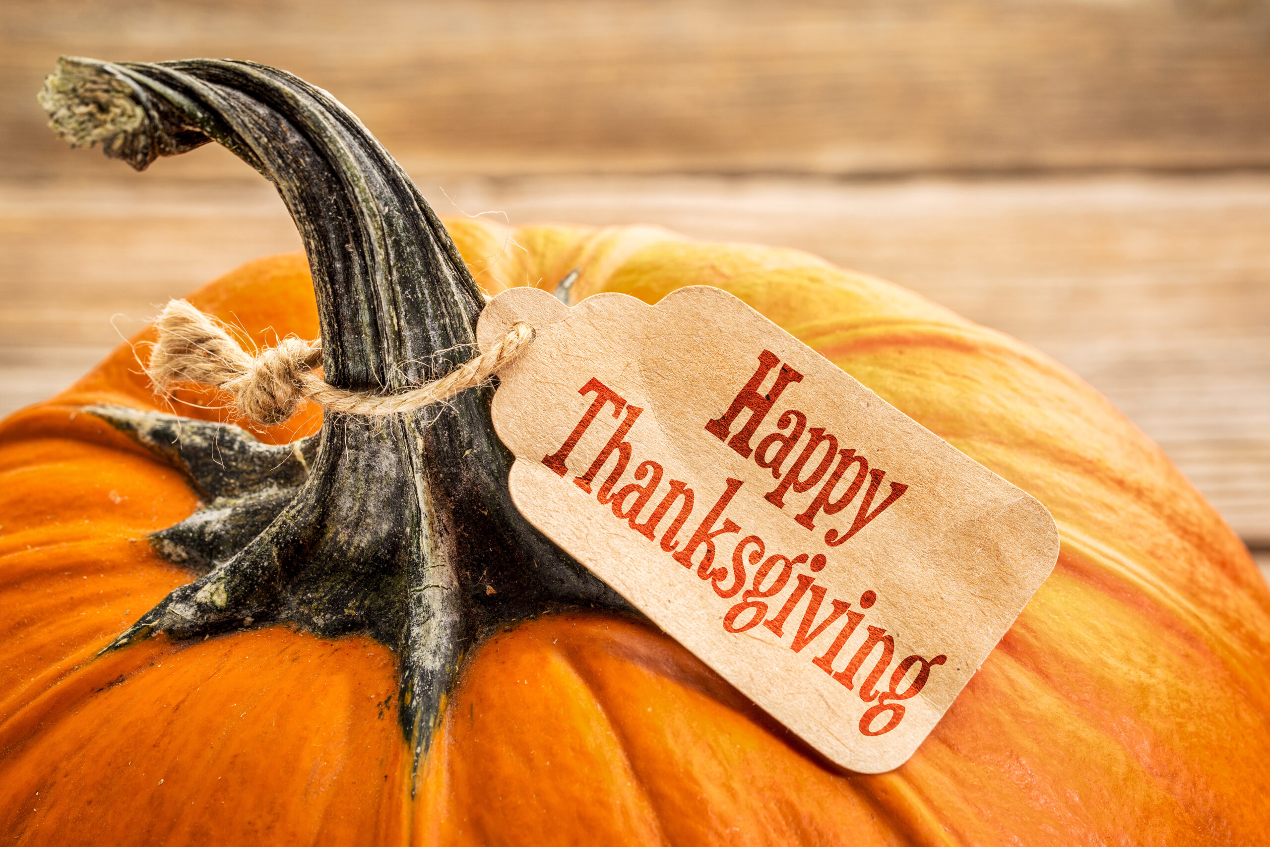 AdobeStock_93791627 AdobeStock_93791627