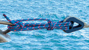 lifeline_terminator lifeline_terminator