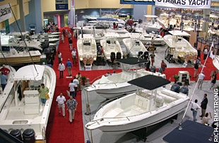 28_winter_shows_lead 28_winter_shows_lead