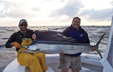 12_plymalefish_02