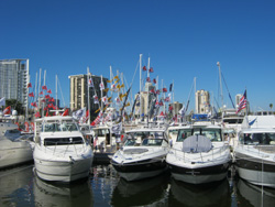 stpete1202 stpete1202