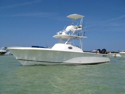 blackfin0411