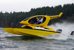 helicat0423