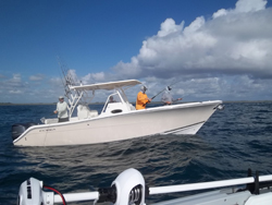 maverick0626 maverick0626