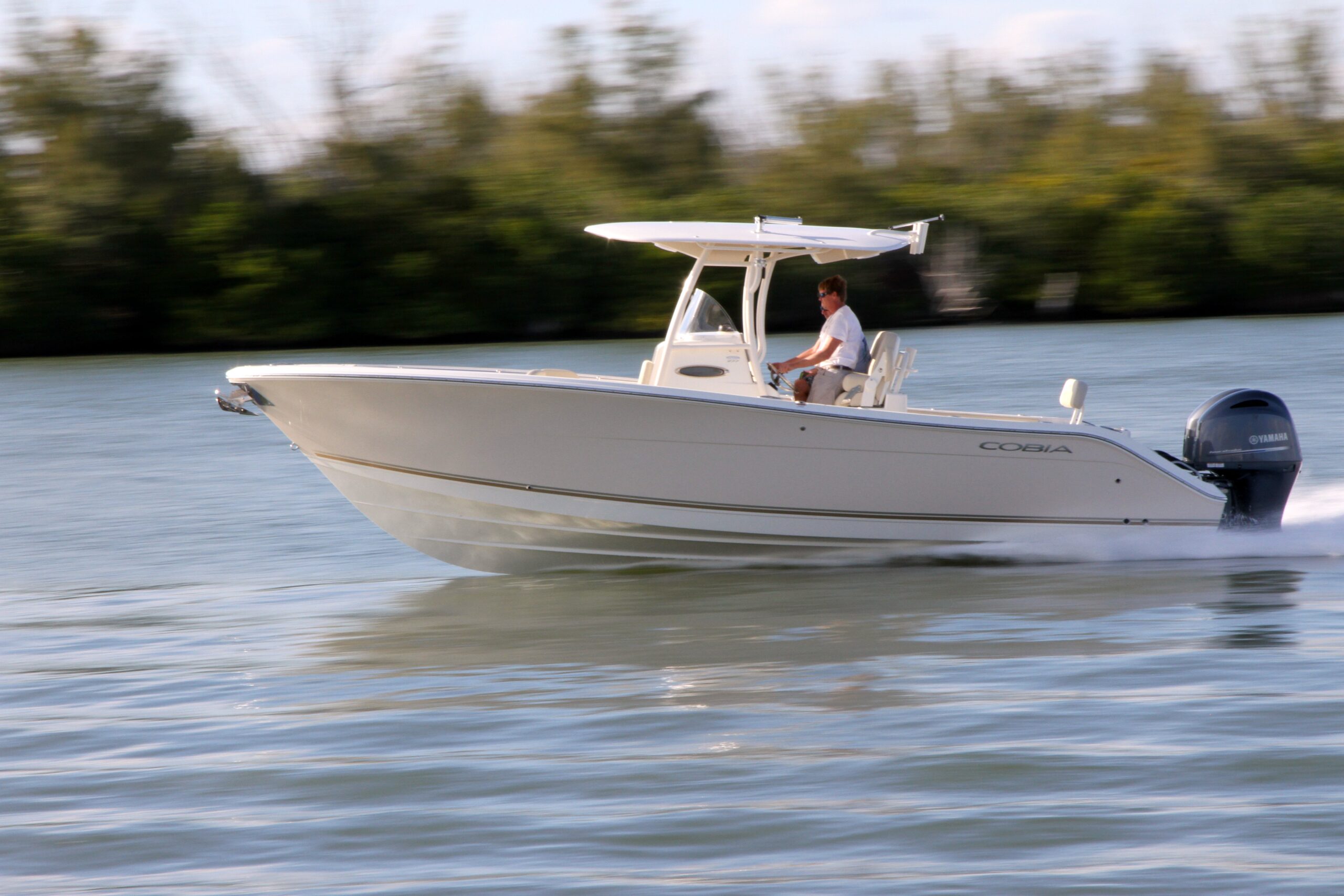 maverick0219 maverick0219