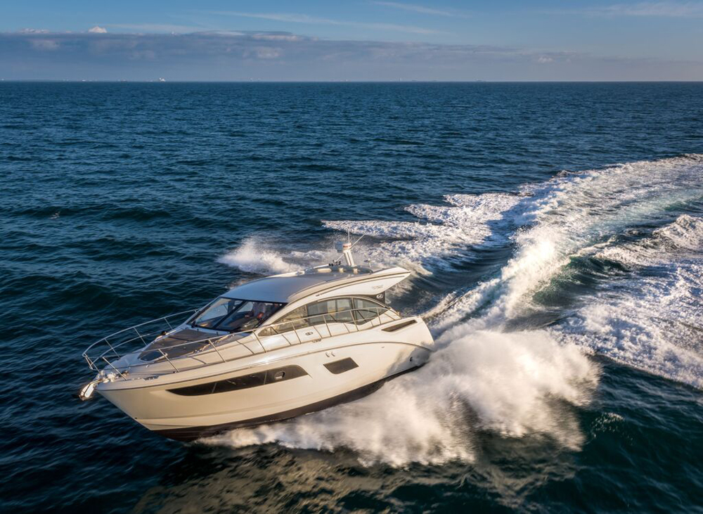 searay1117 searay1117