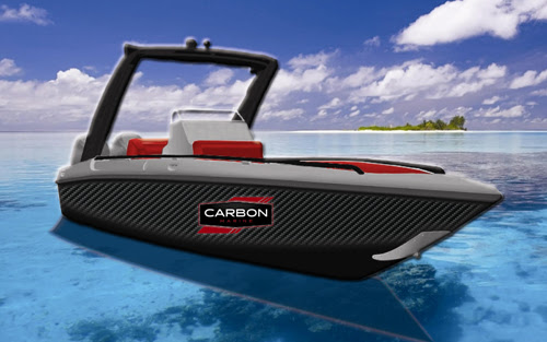carbon0113
