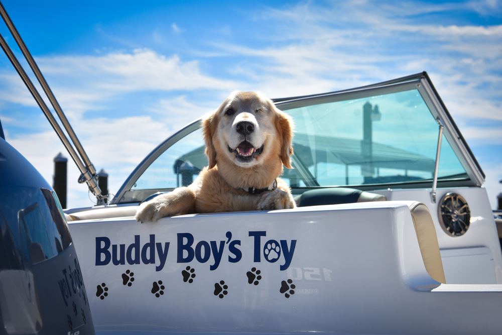 buddyboy0413