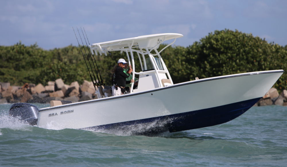 seaborn0517