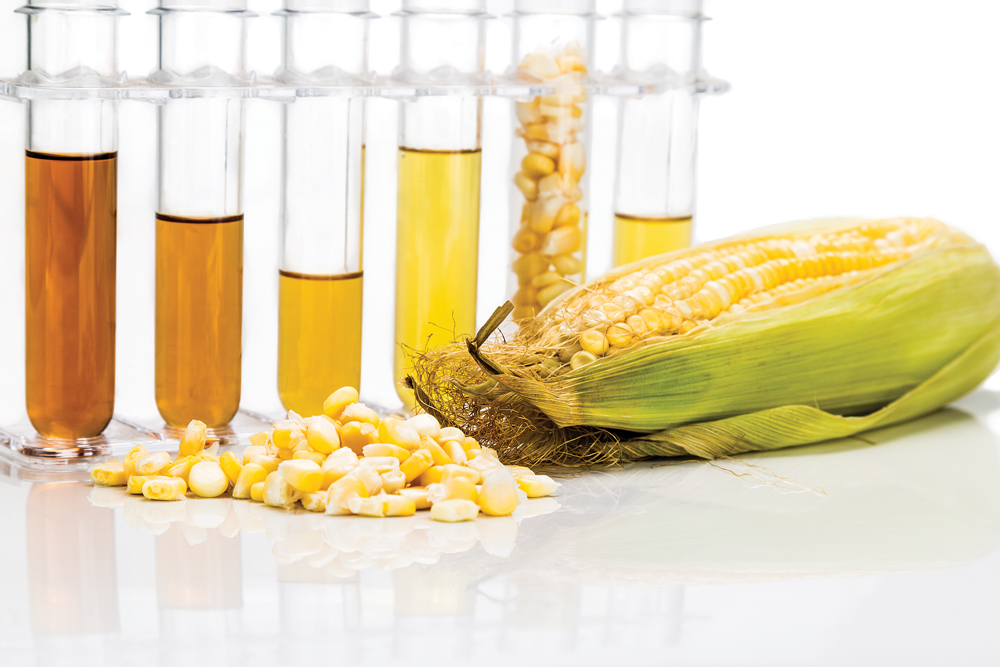 Critics say the ethanol content the Environmental Protection Agency is calling for would push the blend wall to all-time highs — beyond the level deemed safe for marine engines. Critics say the ethanol content the Environmental Protection Agency is calling for would push the blend wall to all-time highs — beyond the level deemed safe for marine engines.