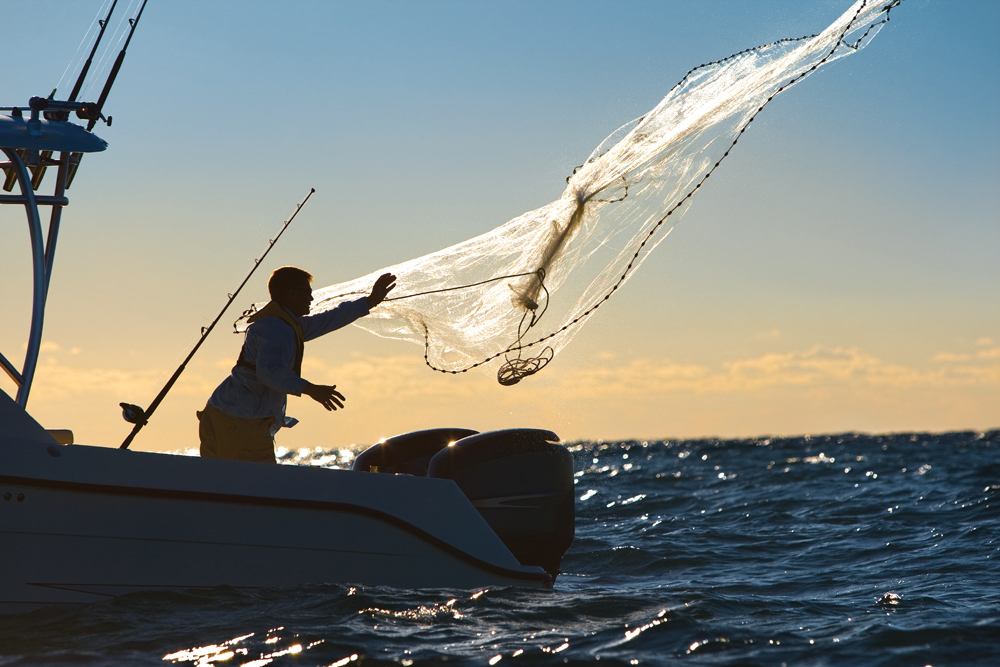 angling_netcast