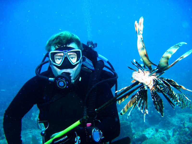 lionfish lionfish