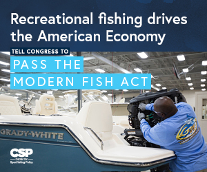 modern fish act 1 modern fish act 1