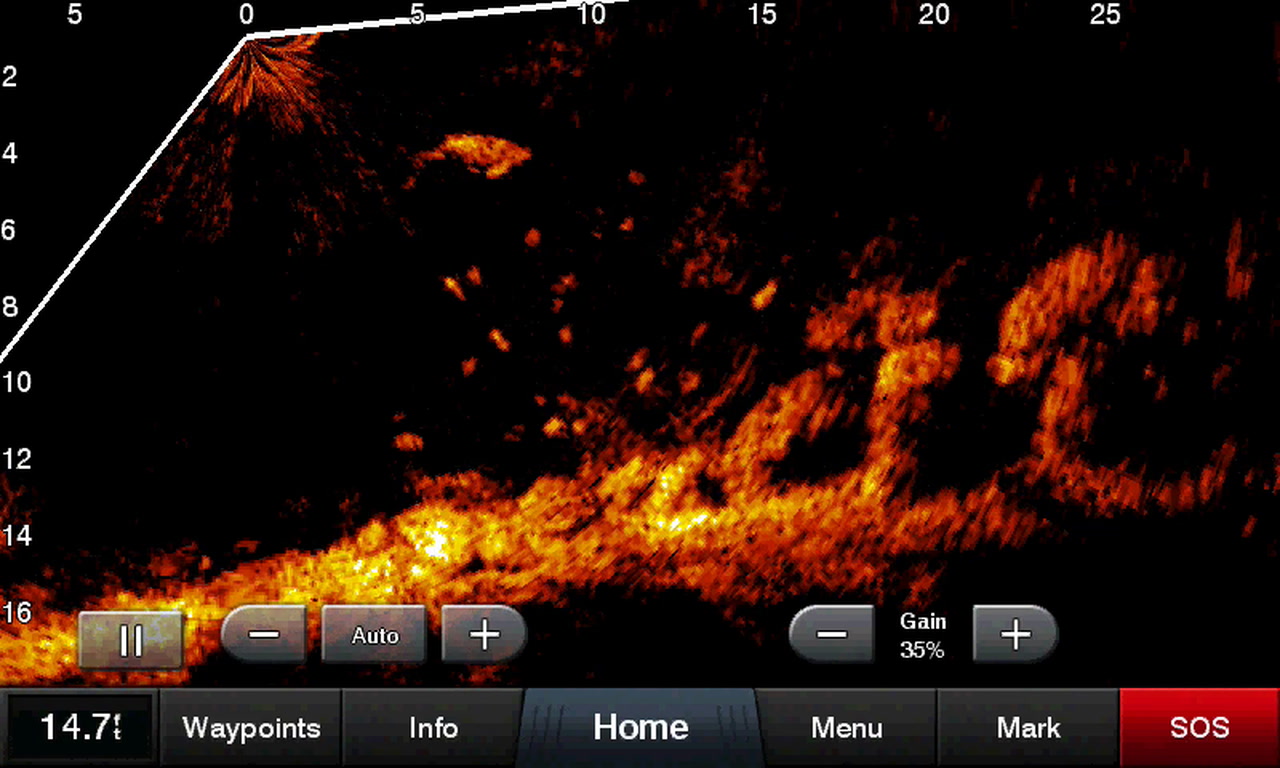 garmin_LiveScope Forward showing school of tarpon garmin_LiveScope Forward showing school of tarpon