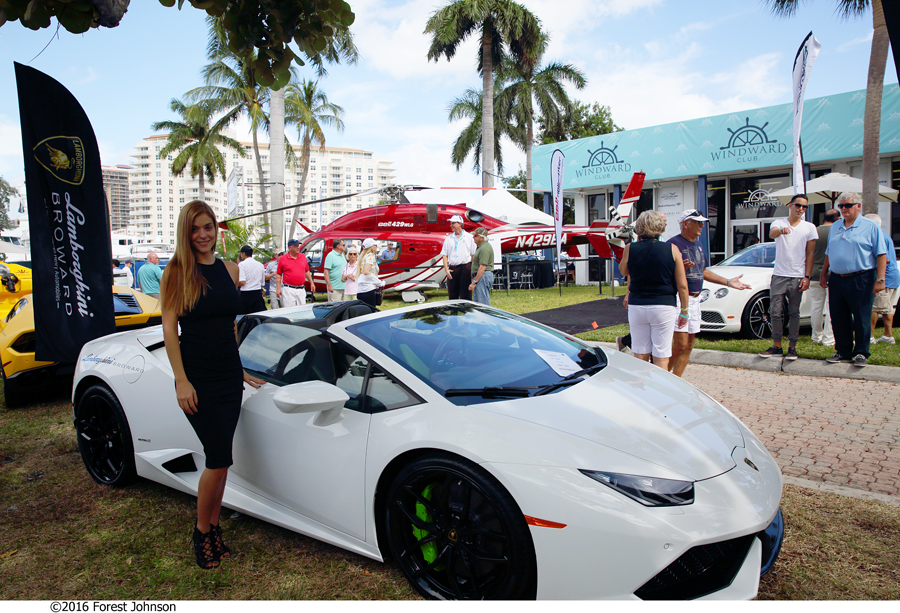 FLIBS_VIP FLIBS_VIP