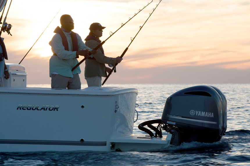 modernfishx860 modernfishx860