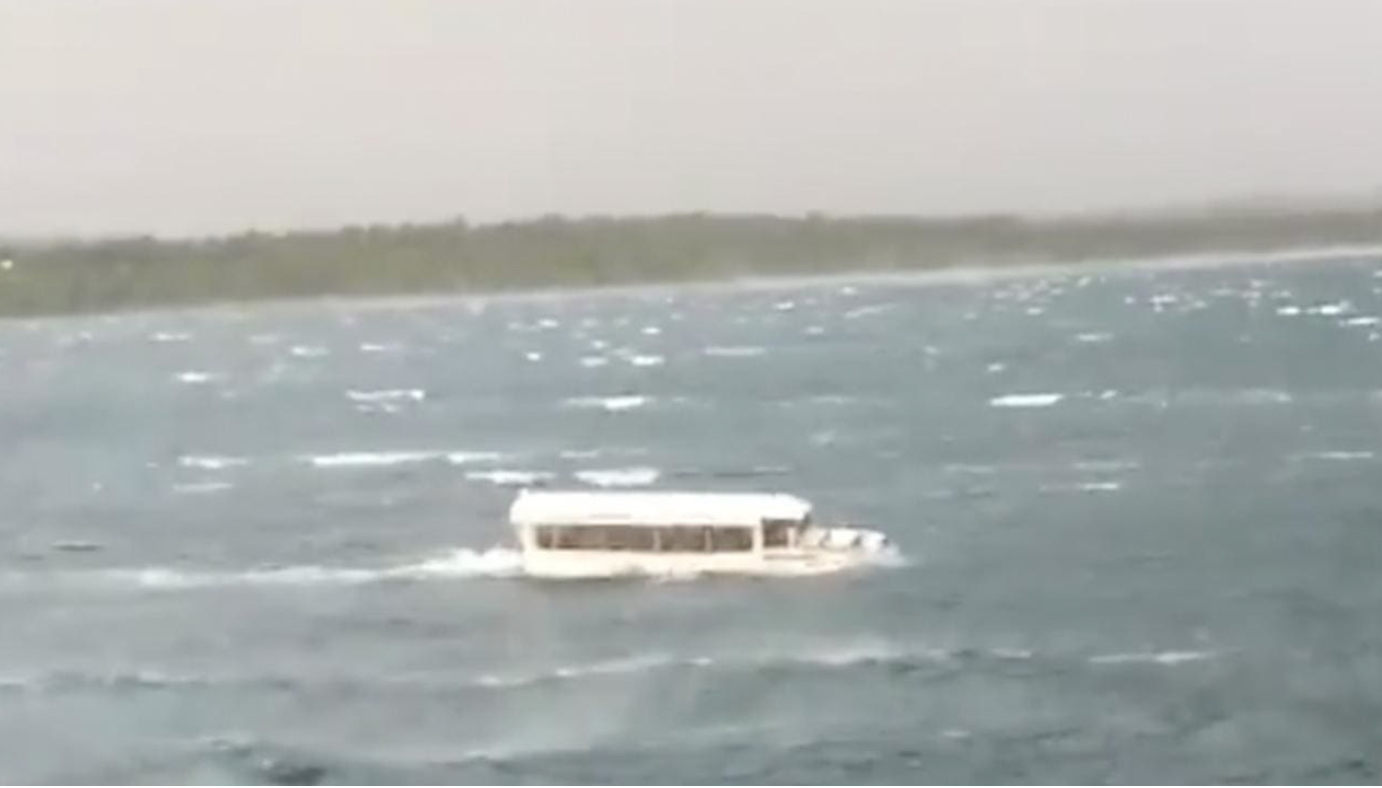 duck boat duck boat