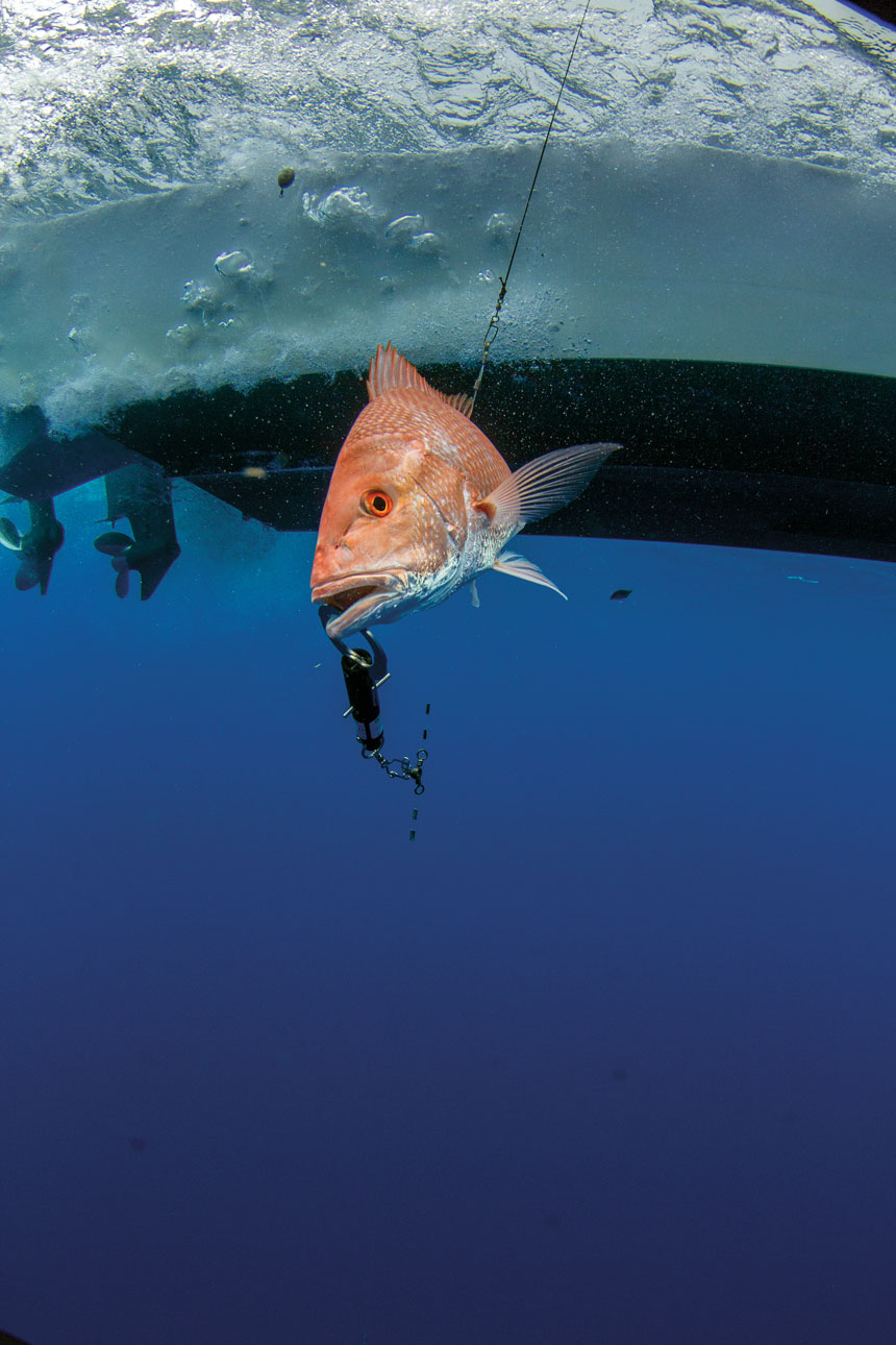FishManagementStoryx860