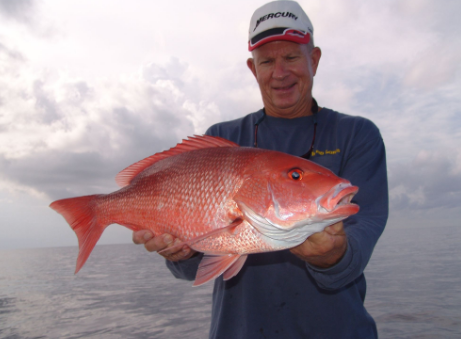 Red-snapper
