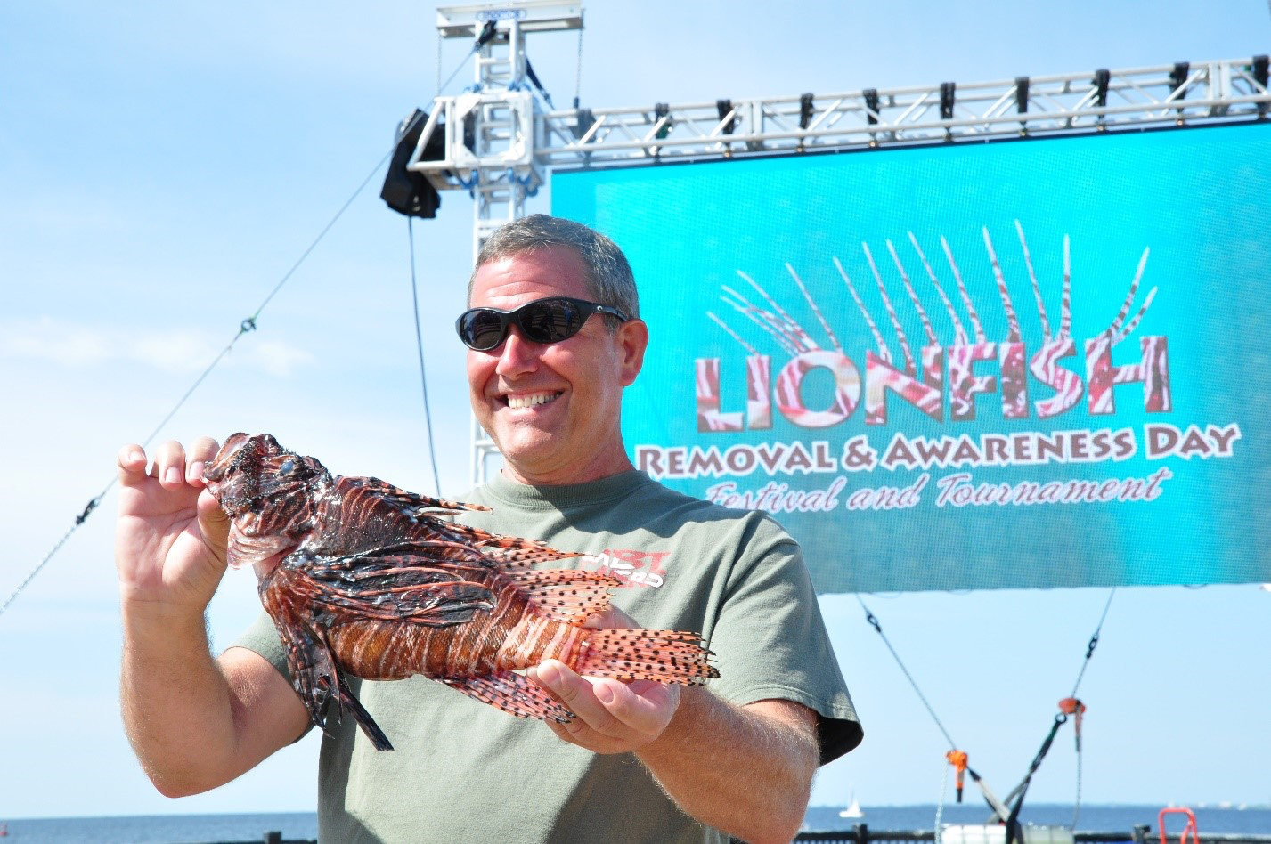 lionfish 1 lionfish 1