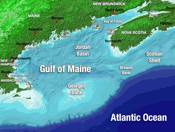 GulfofMaine GulfofMaine