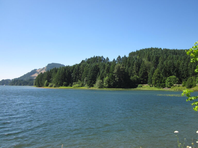 Low water forces Oregon marina closure