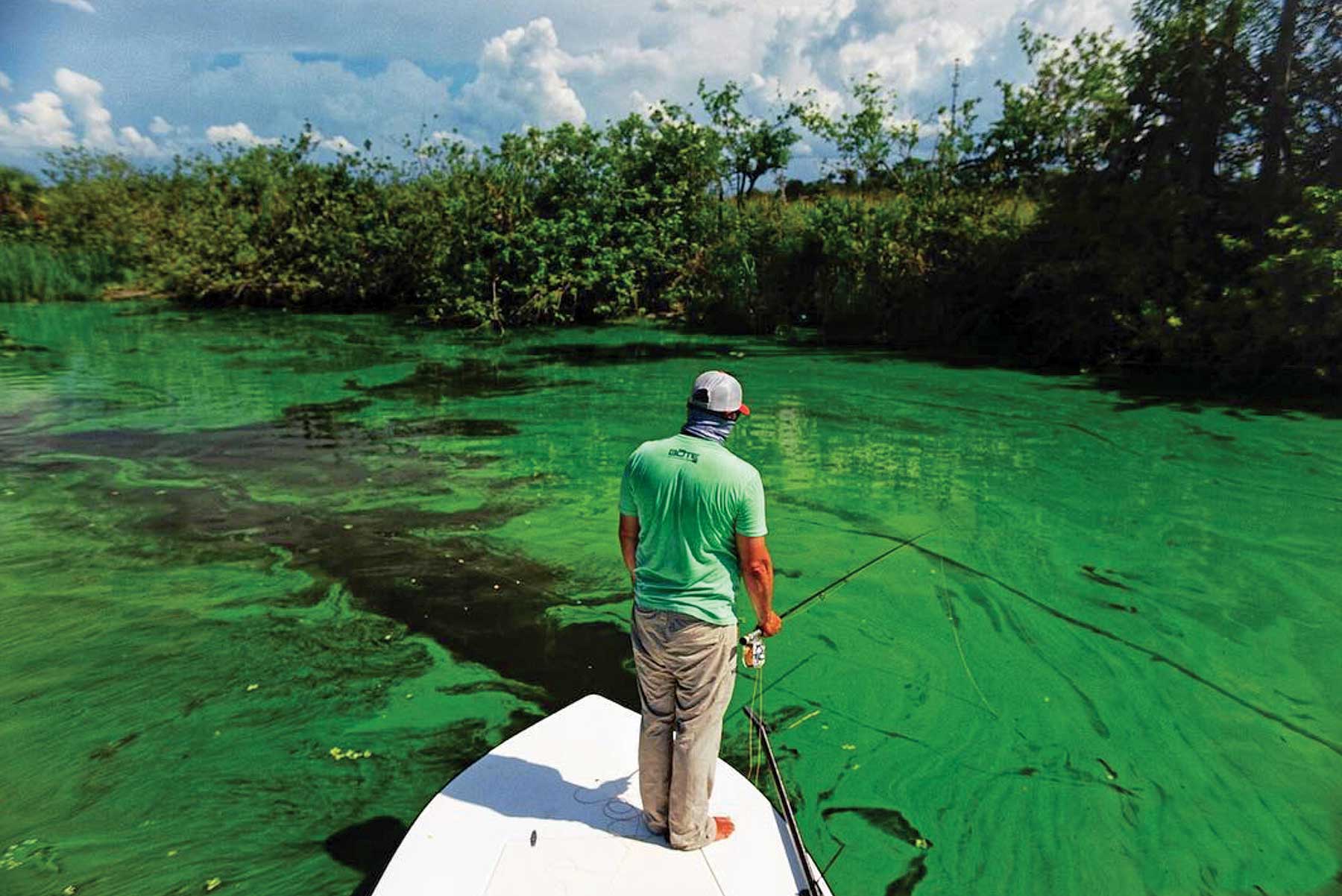 1.-Captains-for-Clean-Water-Florida-Water-Crisis-1_1800 1.-Captains-for-Clean-Water-Florida-Water-Crisis-1_1800