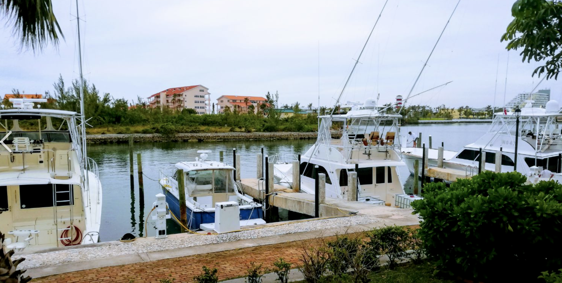 Bahamas Grant Grand Bahamas Yacht Club Bahamas Grant Grand Bahamas Yacht Club