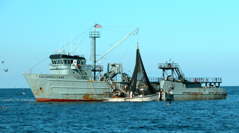 menhaden_harvest