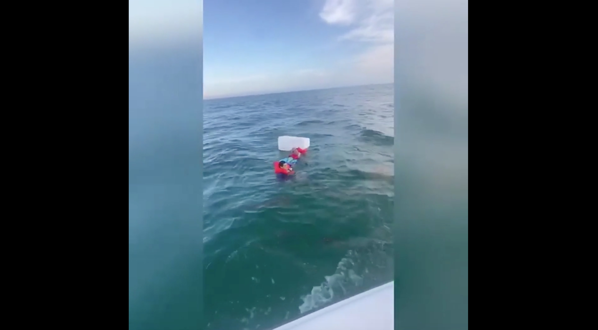 rescue