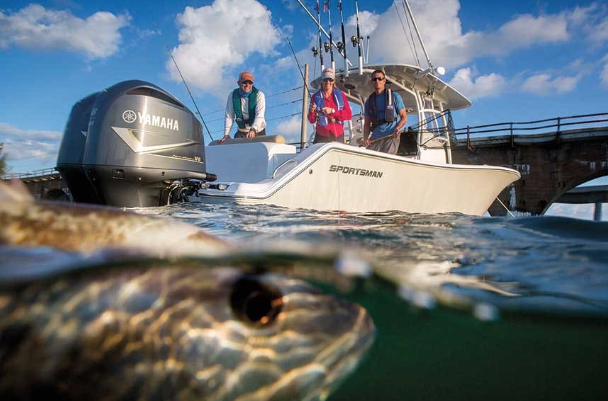 sportfishing