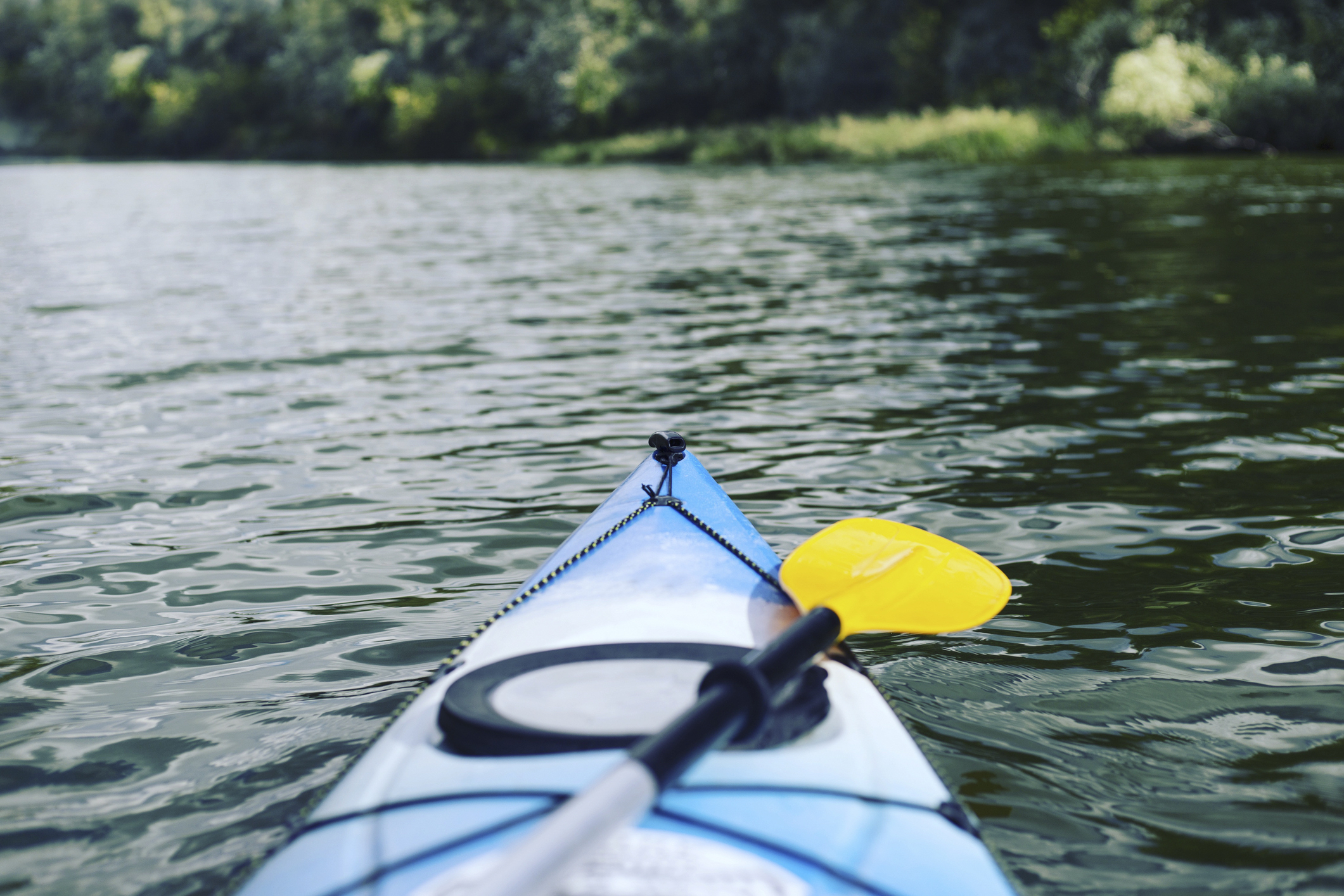 SC Expedition – Edisto River SC Expedition - Edisto River