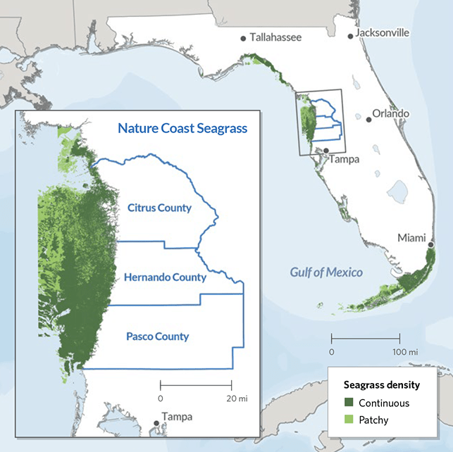 pseagrass-map pseagrass-map