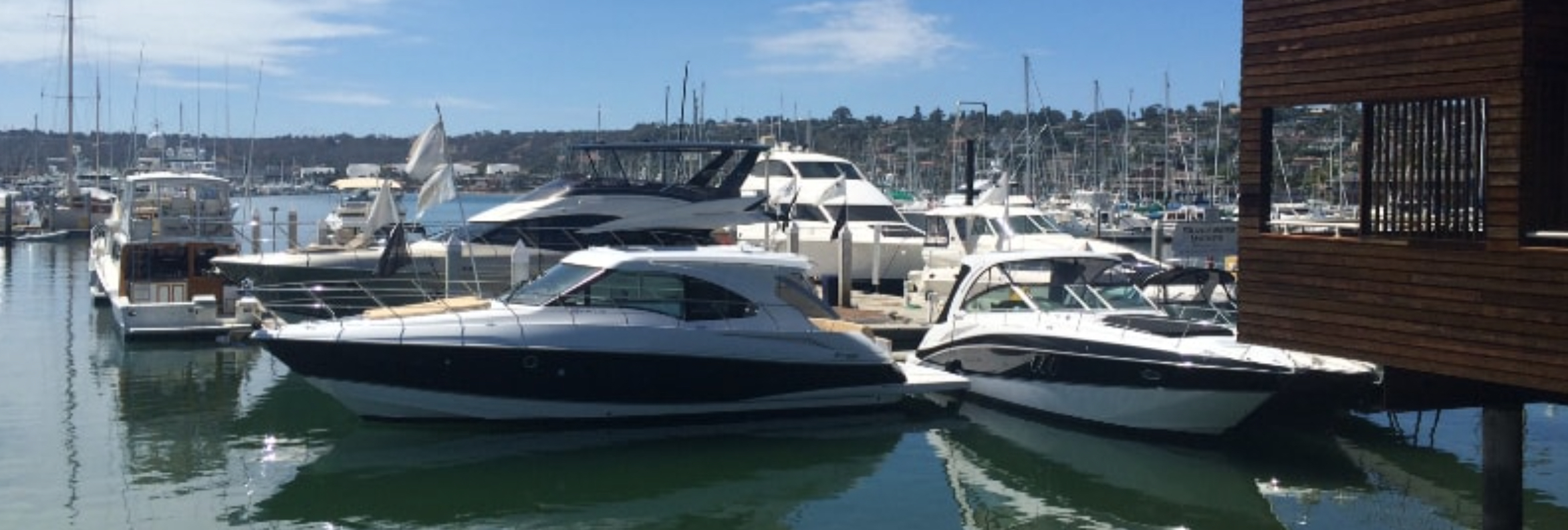 marinemax-skipperbuds san diego