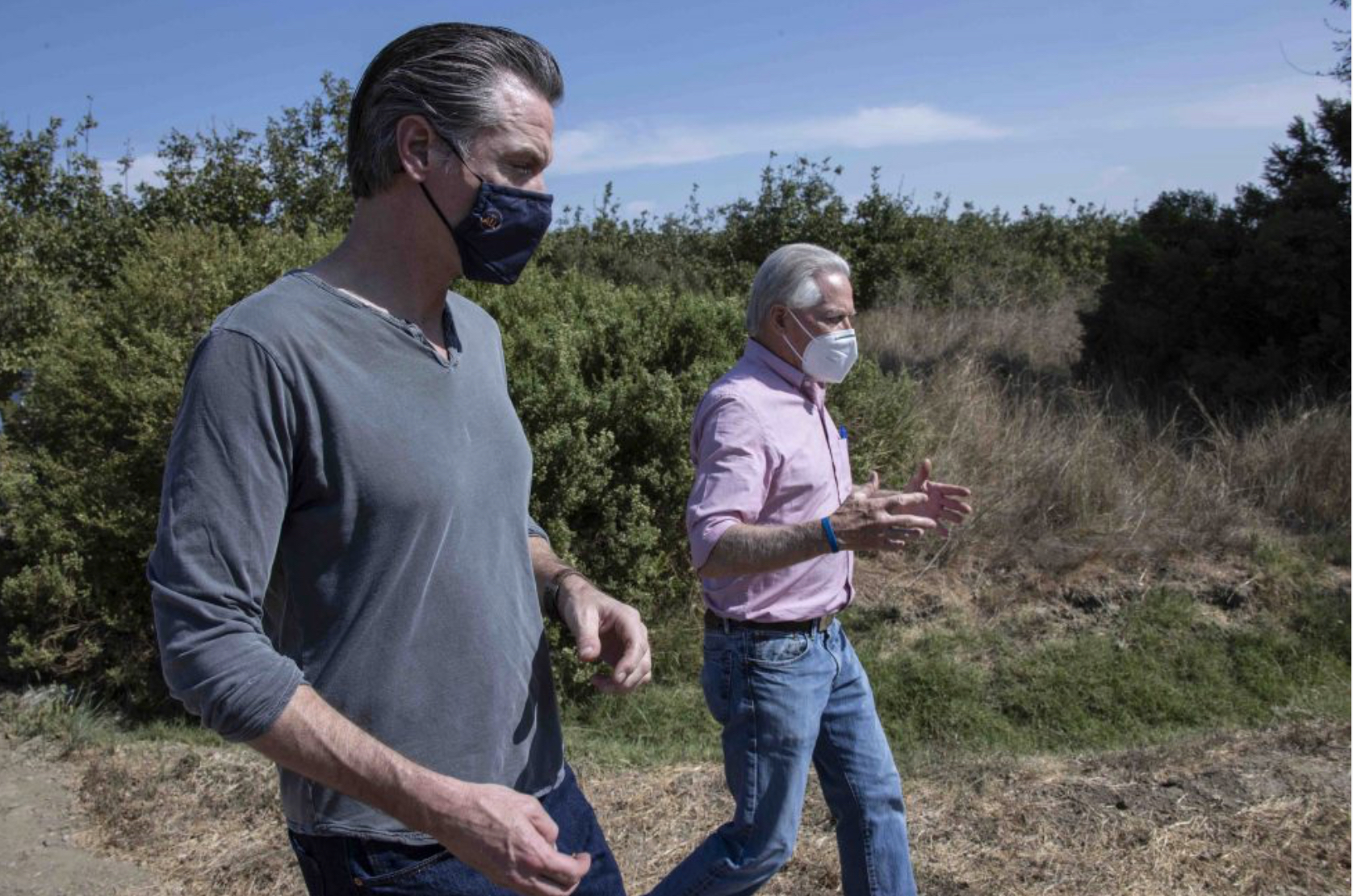 california-gov newsom