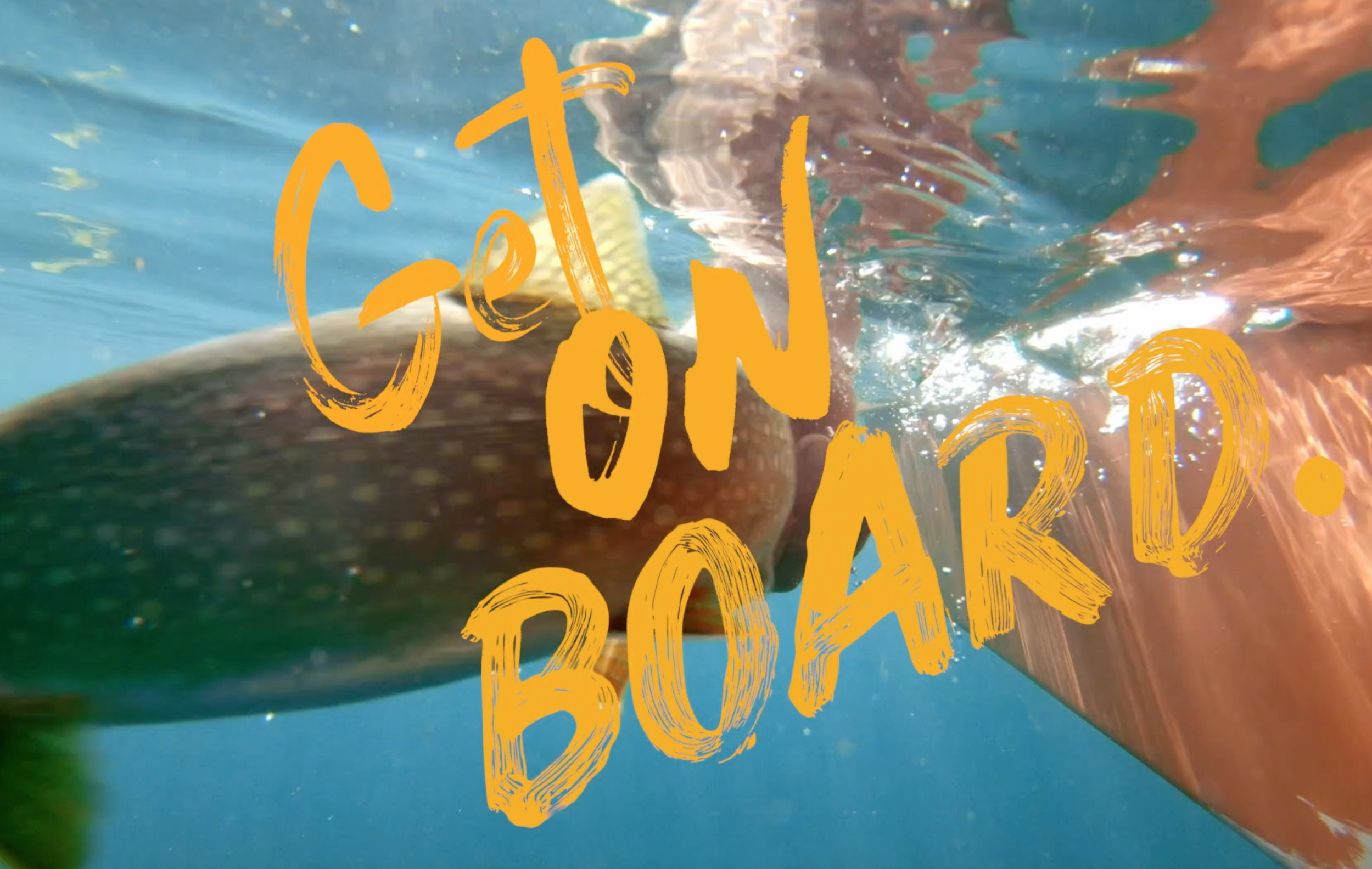 1 get on board