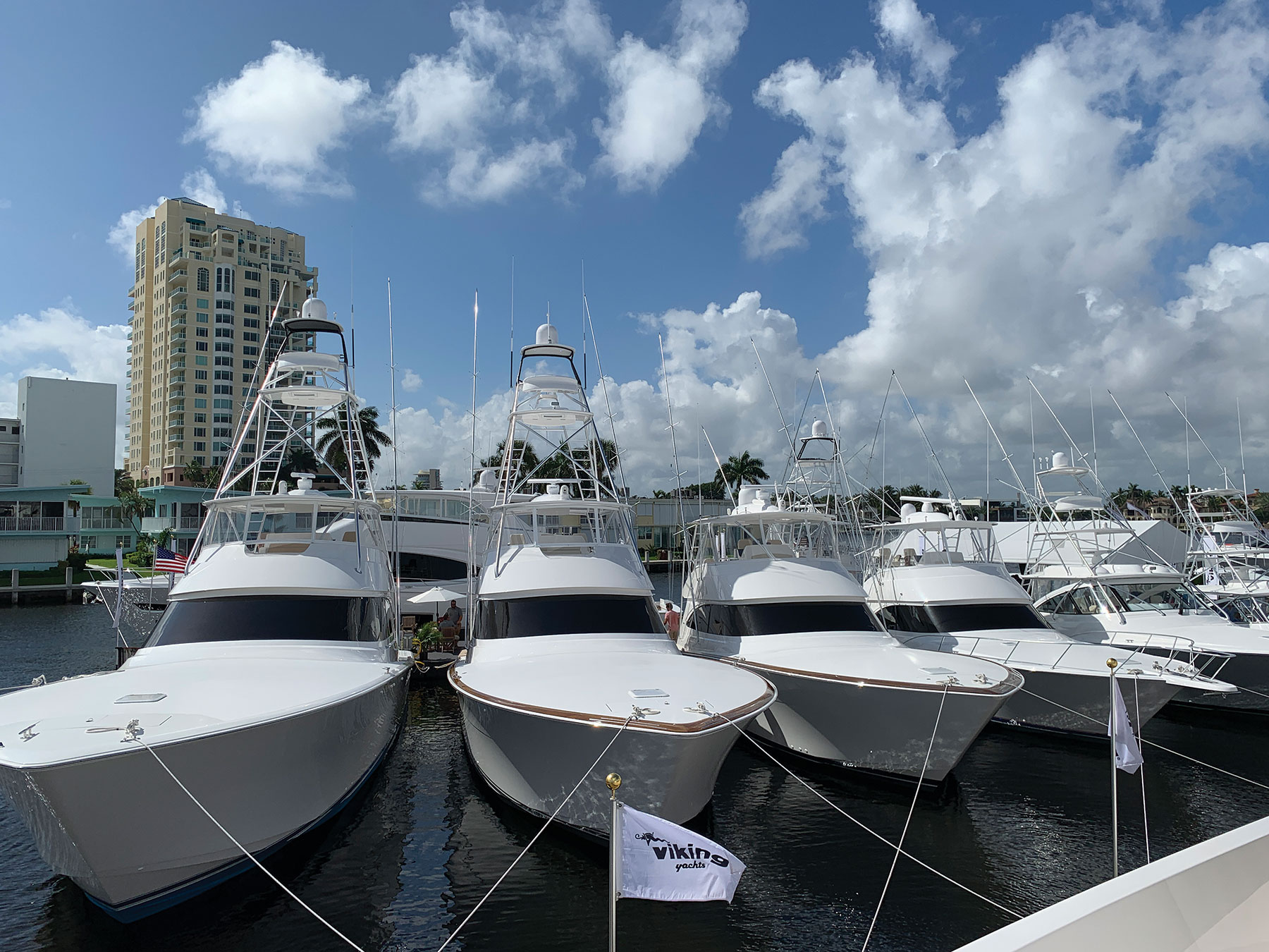 1_FLIBS_Viking 1_FLIBS_Viking