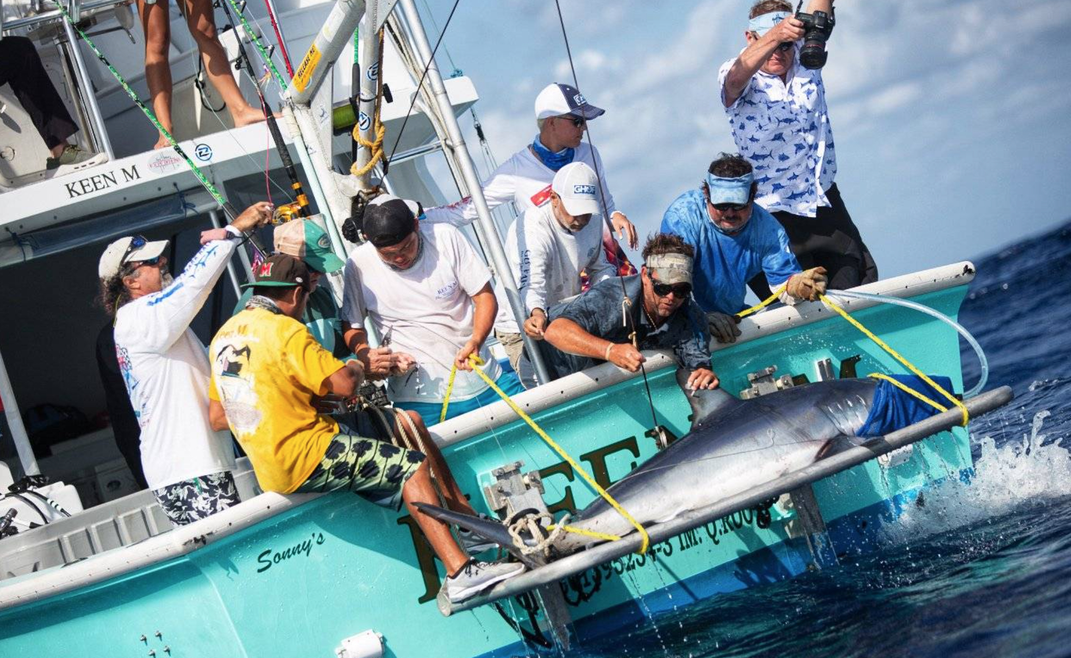 1 Guy Harvey