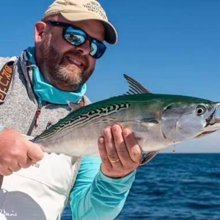 Letter From the Editor