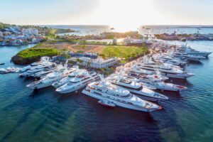 Docked motor boats in a sunny climate